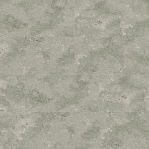 Stone Visual SPC Vinyl Tile