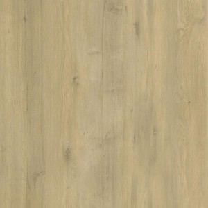 Natural Oak Grain SPC Click Flooring